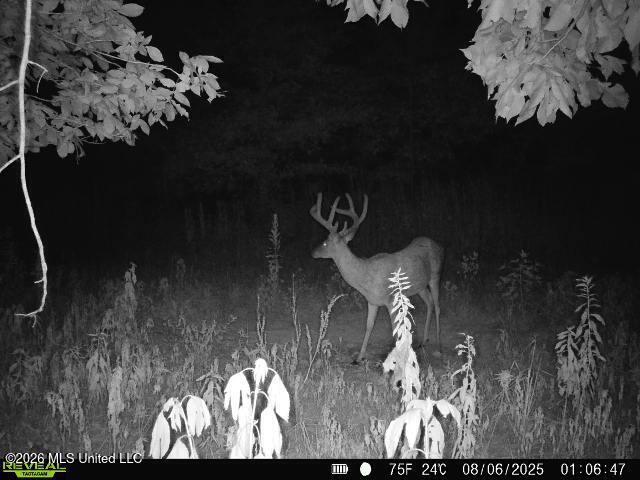 1 Highway 3 Lambert, MS 38643 - Photo 100 of 102 046466E8-7D98-4ABB-9CA3-946B54585E08