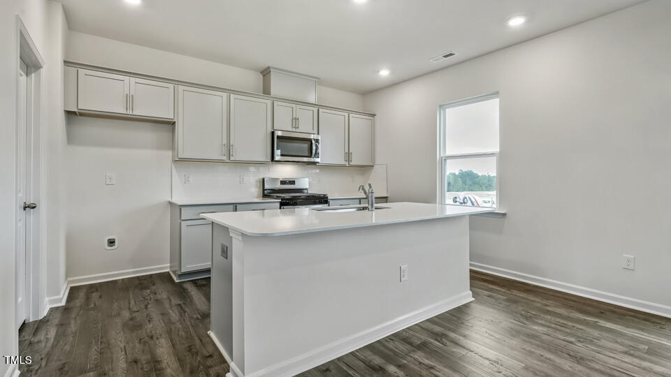 829 Comice Pear Way Willow Spring, NC 27592 - Photo 5 of 32 Kitchen