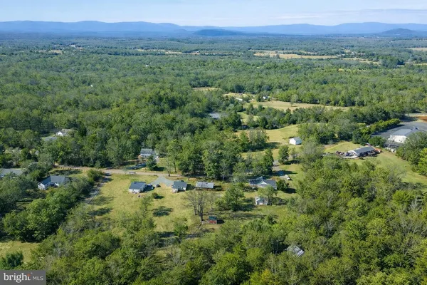 a view of a lush green forest with trees and some houses
