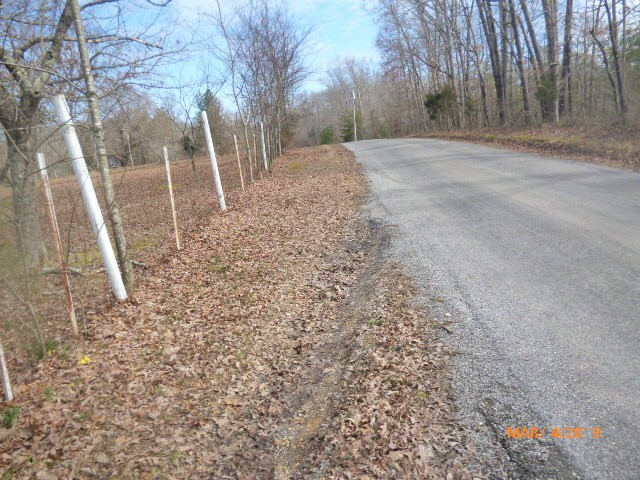 144 Upper Alsup Road Tennessee Ridge, TN 37178 - Photo 8 of 22 Gallery Image 8