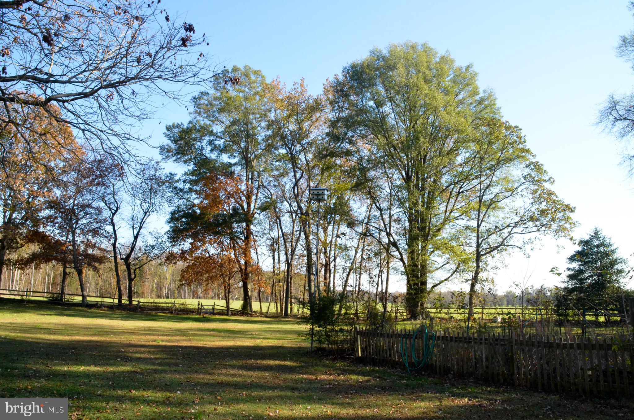 11241 Longwoods Road Easton, MD 21601 - Photo 4 of 41 Gallery Image 4