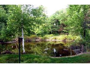 309 Cotton Valley Road Wolfeboro, NH 03894 - Photo 4 of 5 Gallery Image 4
