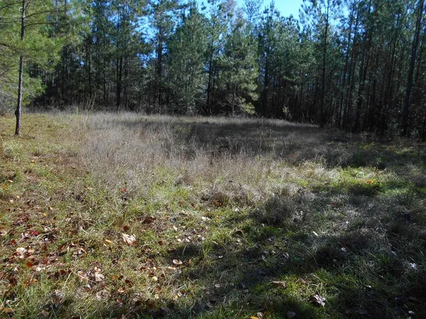 $72,000 | 0 Rockport New Hebron Road, Newhebron, MS 39140