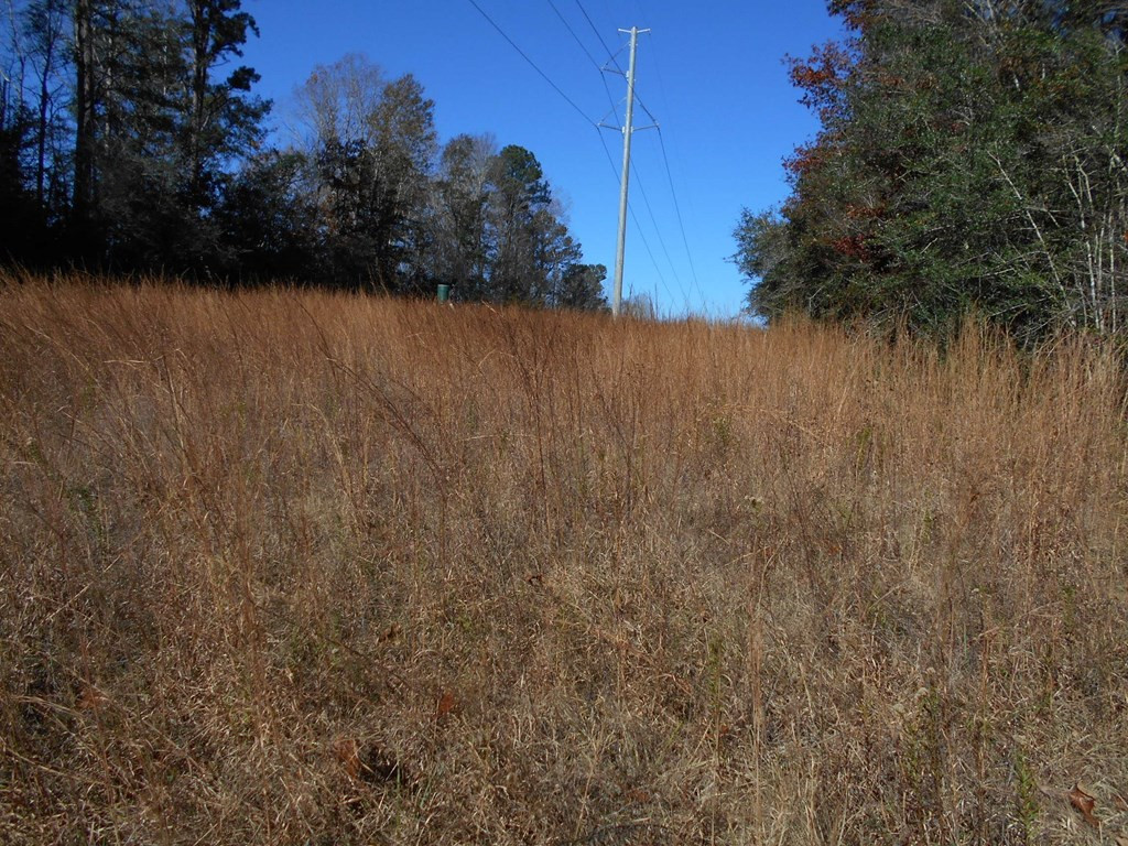 0 Rockport New Hebron Road Newhebron, MS 39140 - Photo 11 of 21 Photo 11