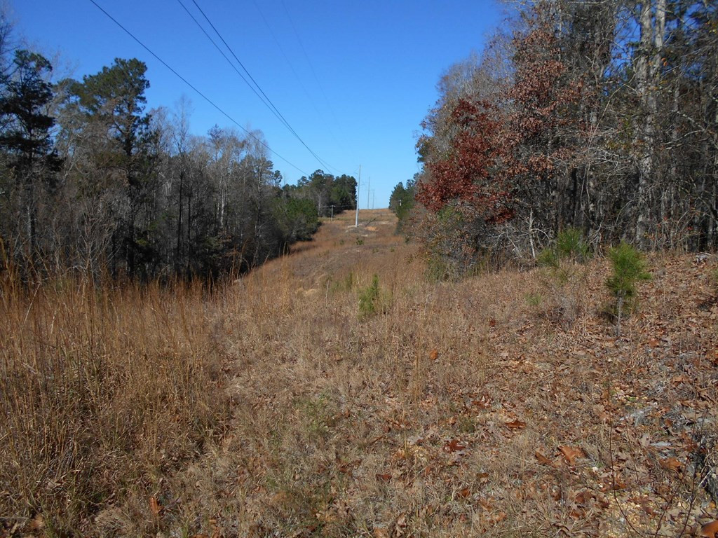 0 Rockport New Hebron Road Newhebron, MS 39140 - Photo 12 of 21 Photo 12