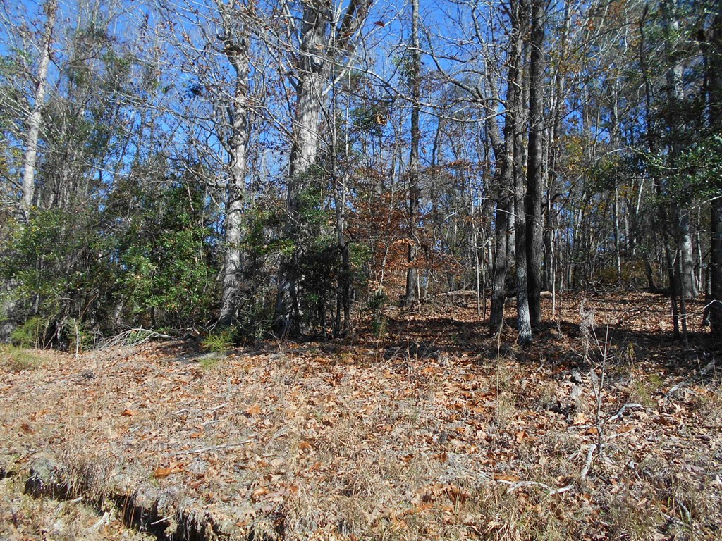 0 Rockport New Hebron Road Newhebron, MS 39140 - Photo 13 of 21 Photo 13