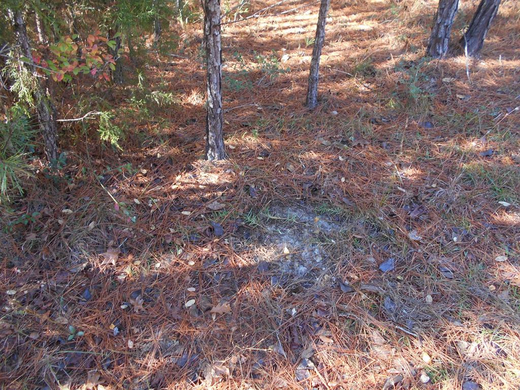 0 Rockport New Hebron Road Newhebron, MS 39140 - Photo 20 of 21 Photo 20