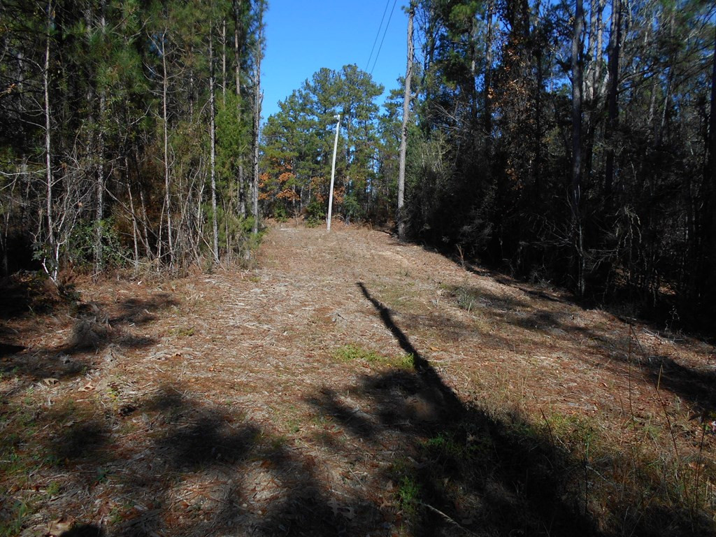 0 Rockport New Hebron Road Newhebron, MS 39140 - Photo 2 of 21 Photo 2