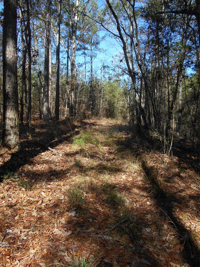 0 Rockport New Hebron Road Newhebron, MS 39140 - Photo 8 of 21 Photo 8