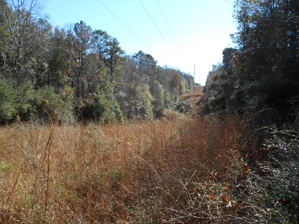 0 Rockport New Hebron Road Newhebron, MS 39140 - Photo 10 of 21 Photo 10