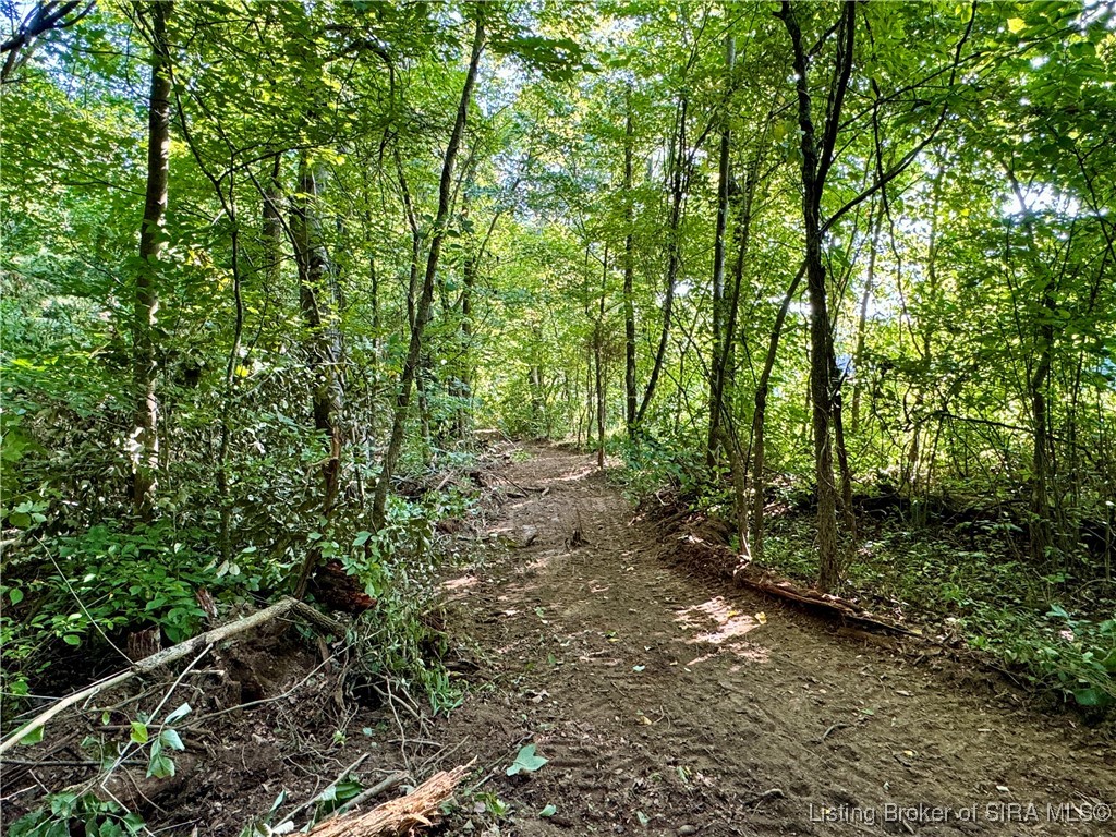 Hideaway Lake Road Borden, IN 47106 - Photo 11 of 32 Gallery Image 11
