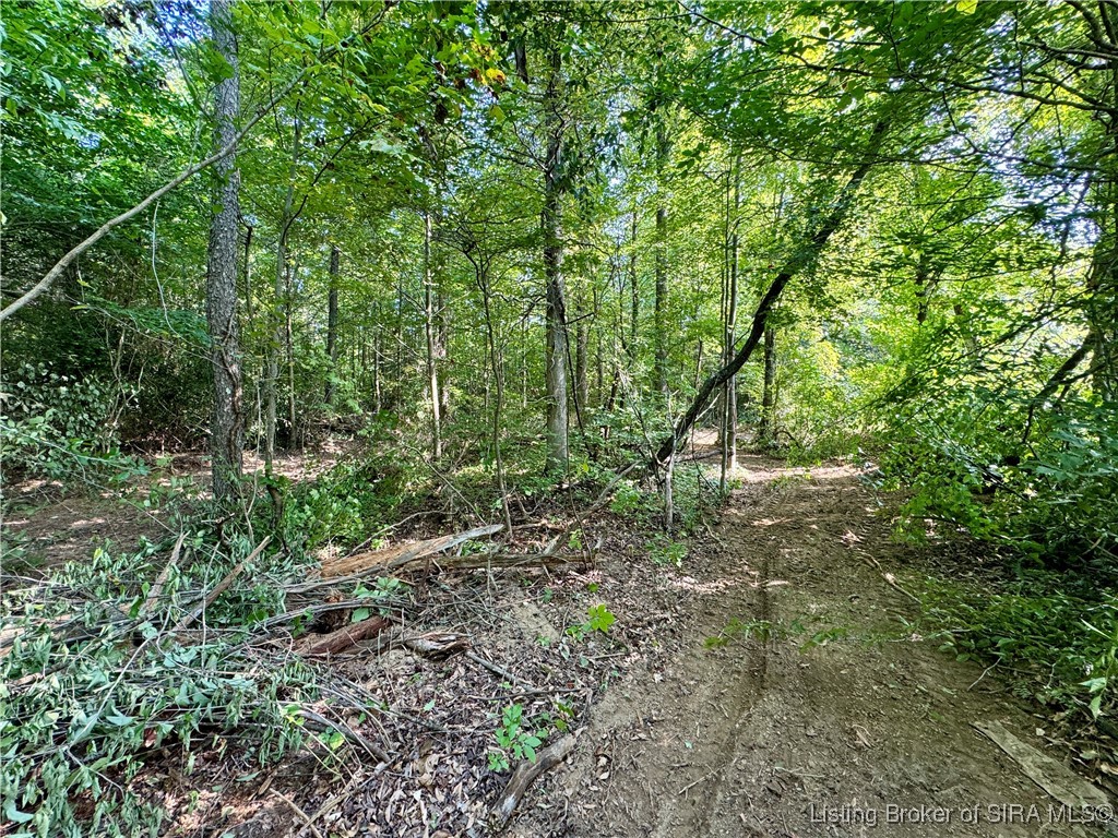 Hideaway Lake Road Borden, IN 47106 - Photo 12 of 32 Gallery Image 12