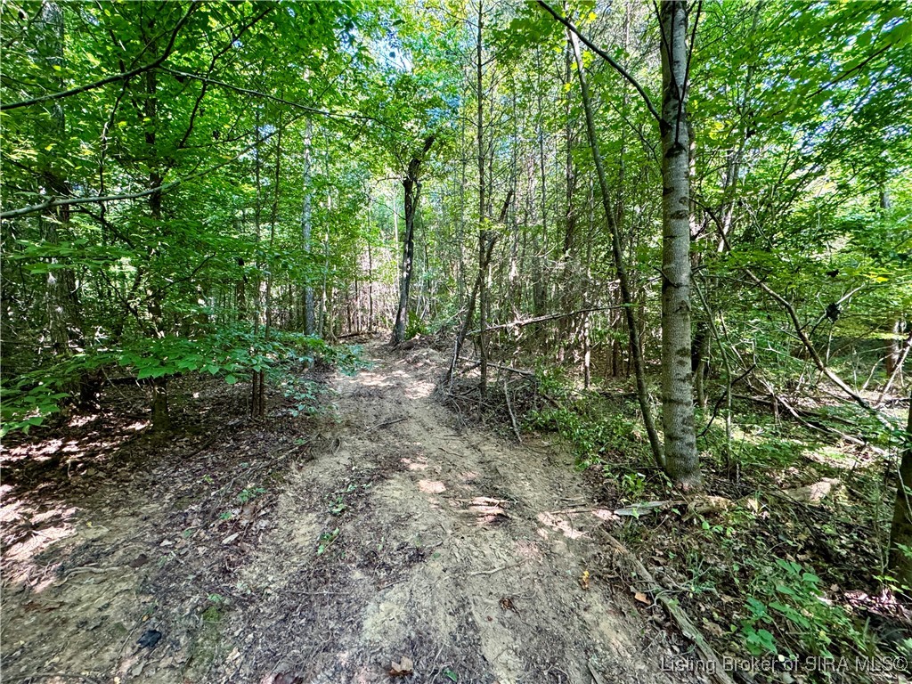 Hideaway Lake Road Borden, IN 47106 - Photo 17 of 32 Gallery Image 17