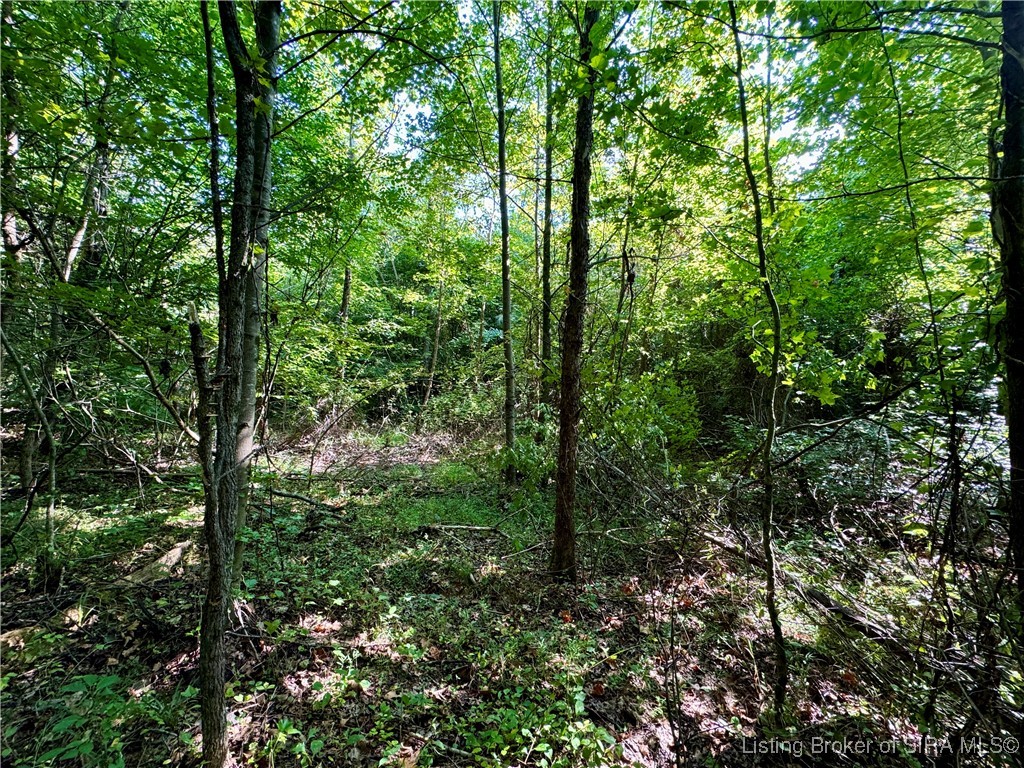 Hideaway Lake Road Borden, IN 47106 - Photo 18 of 32 Gallery Image 18