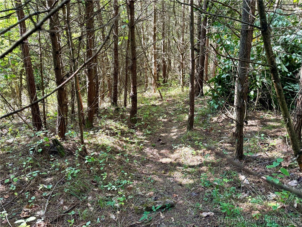 Hideaway Lake Road Borden, IN 47106 - Photo 26 of 32 Gallery Image 26