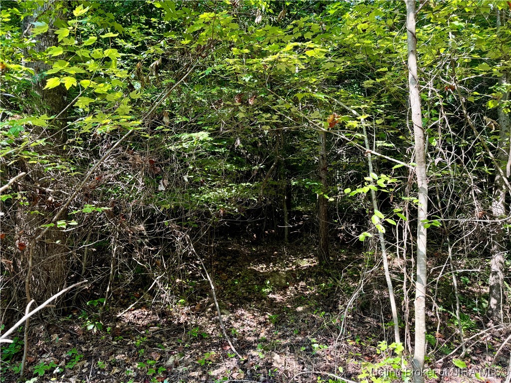 Hideaway Lake Road Borden, IN 47106 - Photo 28 of 32 Gallery Image 28