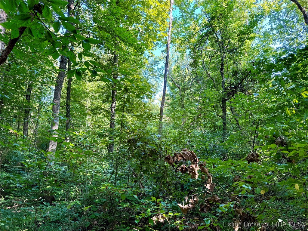 Hideaway Lake Road Borden, IN 47106 - Photo 9 of 32 Gallery Image 9