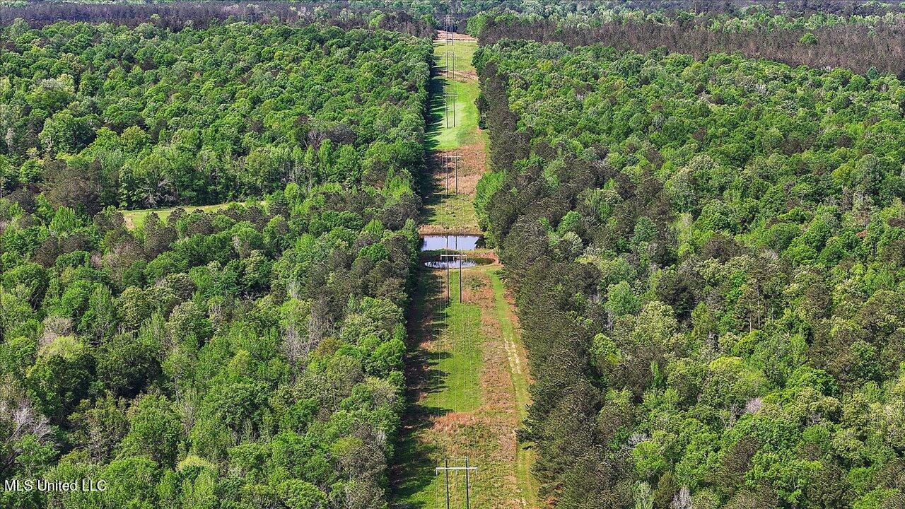 281 Benson Road Silver Creek, MS 39663 - Photo 54 of 82 59-281 Benson Rd