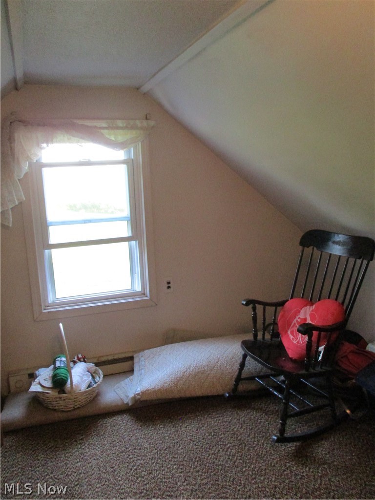 1431 Carson Road Ashtabula, OH 44004 - Photo 26 of 30