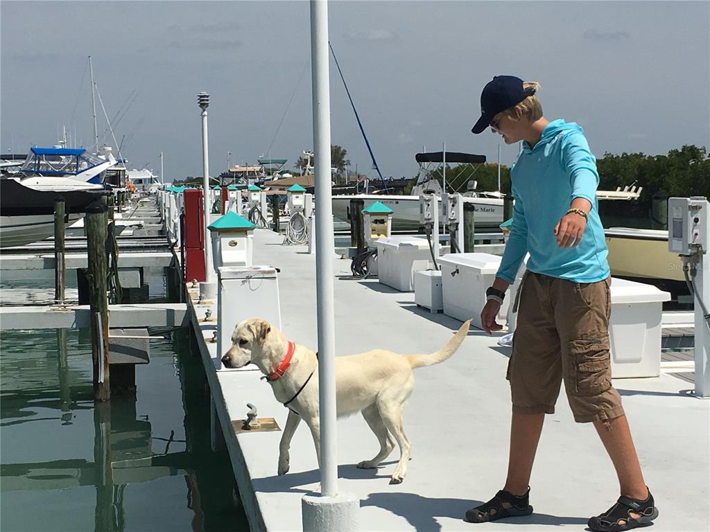 16250 Sunset Pines Circle Boca Grande, FL 33921 - Photo 38 of 48 a room with gym equipment and a table
