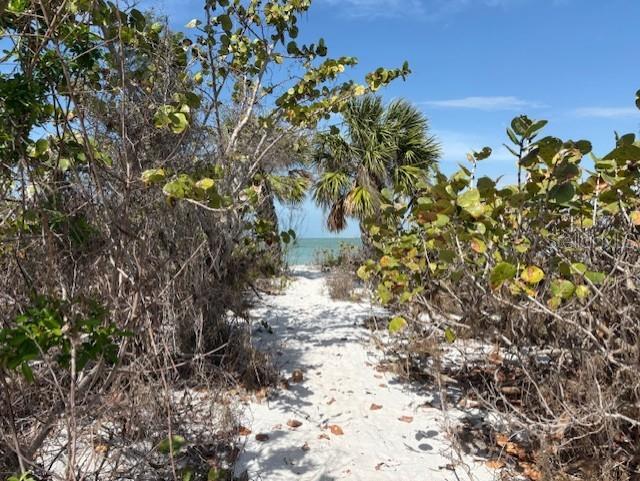 16250 Sunset Pines Circle Boca Grande, FL 33921 - Photo 45 of 48 a view of flowers