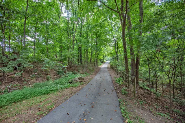 a view of a pathway both side of yard