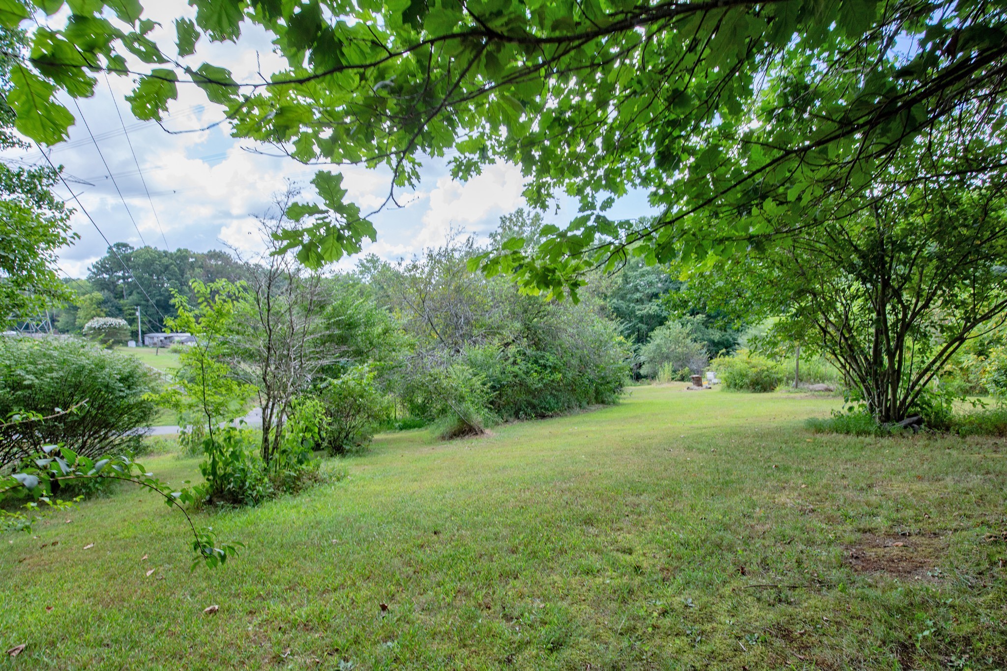 7498 Swift Road Greenbrier, TN 37073 - Photo 11 of 69 a view of a big yard with large trees