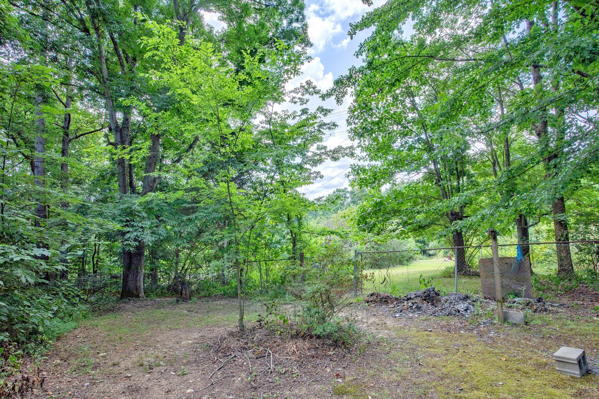 7498 Swift Road Greenbrier, TN 37073 - Photo 58 of 69 a view of a forest