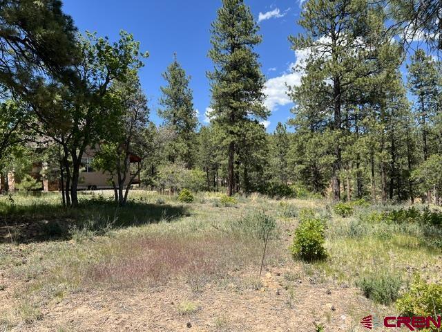 250 Copper Rim Trail Durango, CO 81301 - Photo 2 of 11