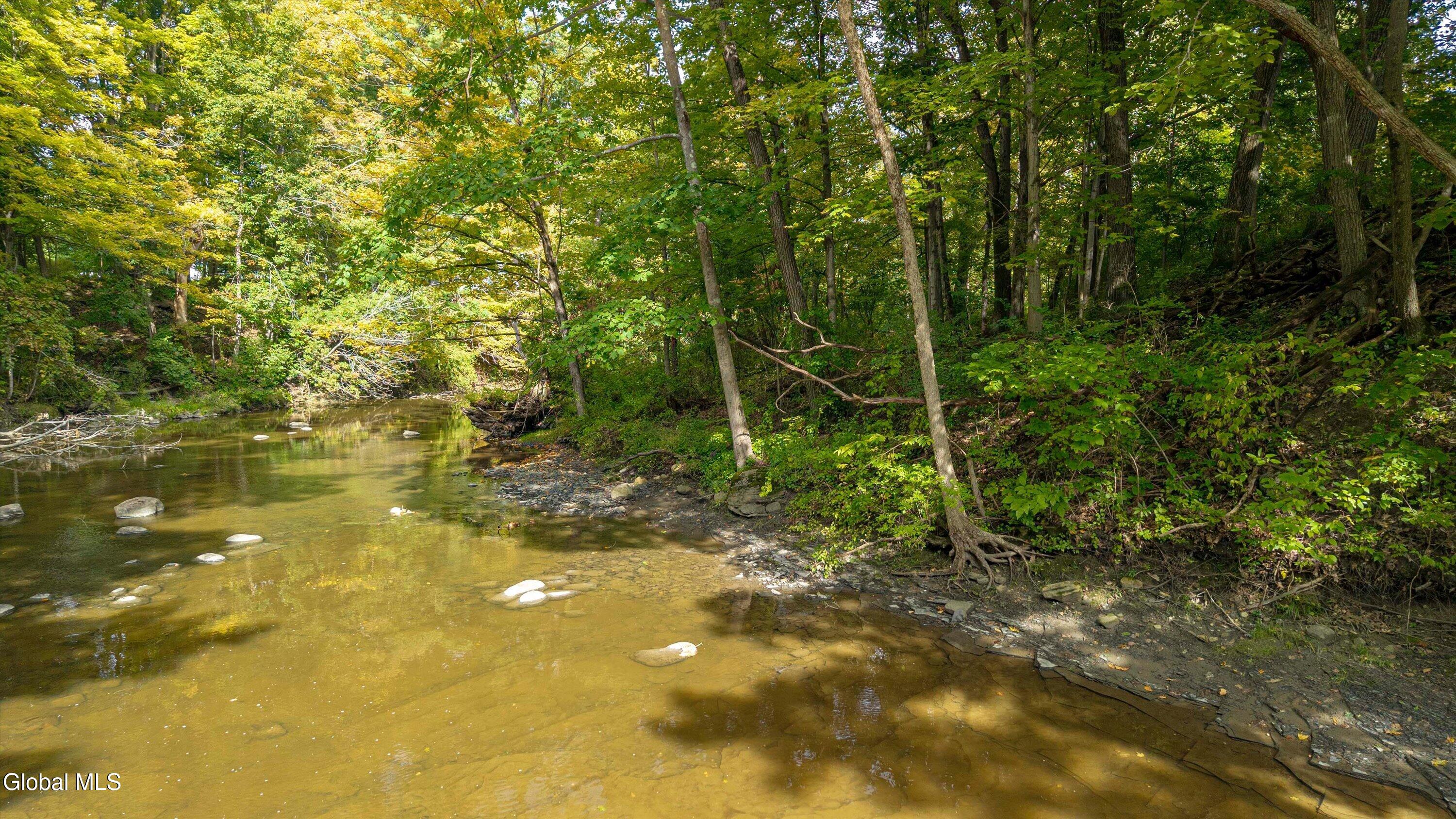 647 Saratoga Road Schenectady, NY 12302 - Photo 39 of 52 13-ADK-13