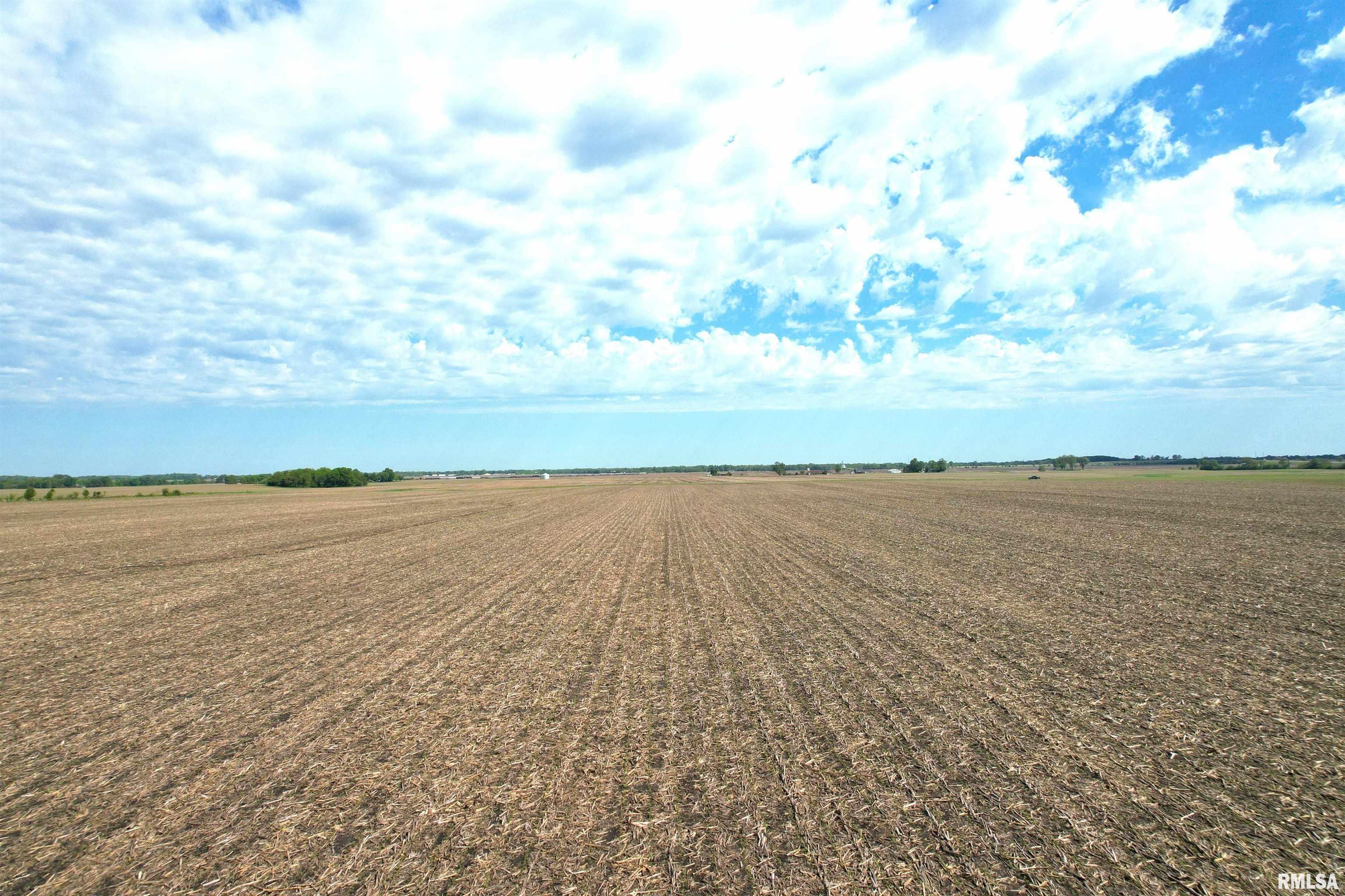 Willow Branch Road Jacksonville, IL 62650 - Photo 11 of 49