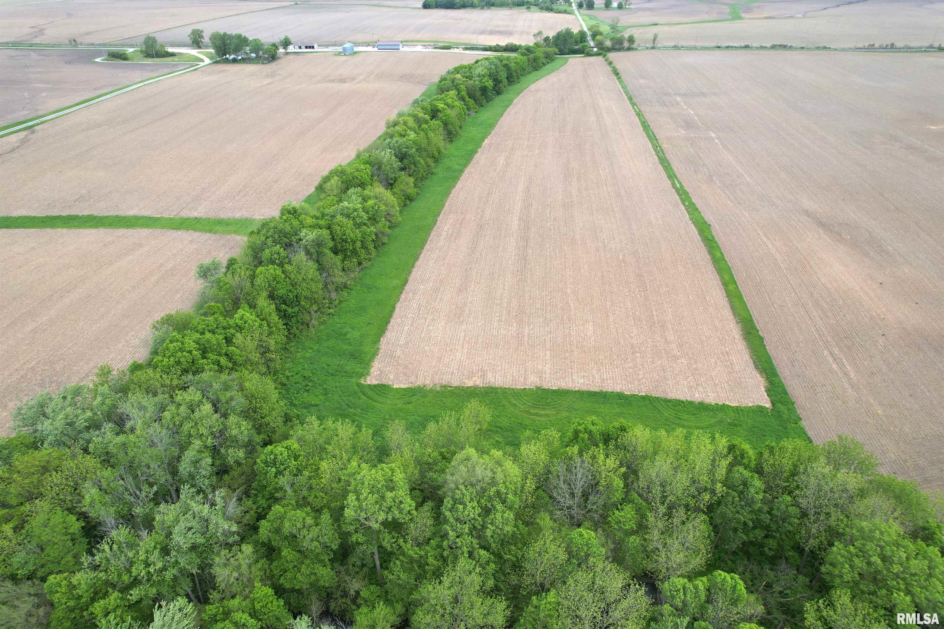 Willow Branch Road Jacksonville, IL 62650 - Photo 19 of 49