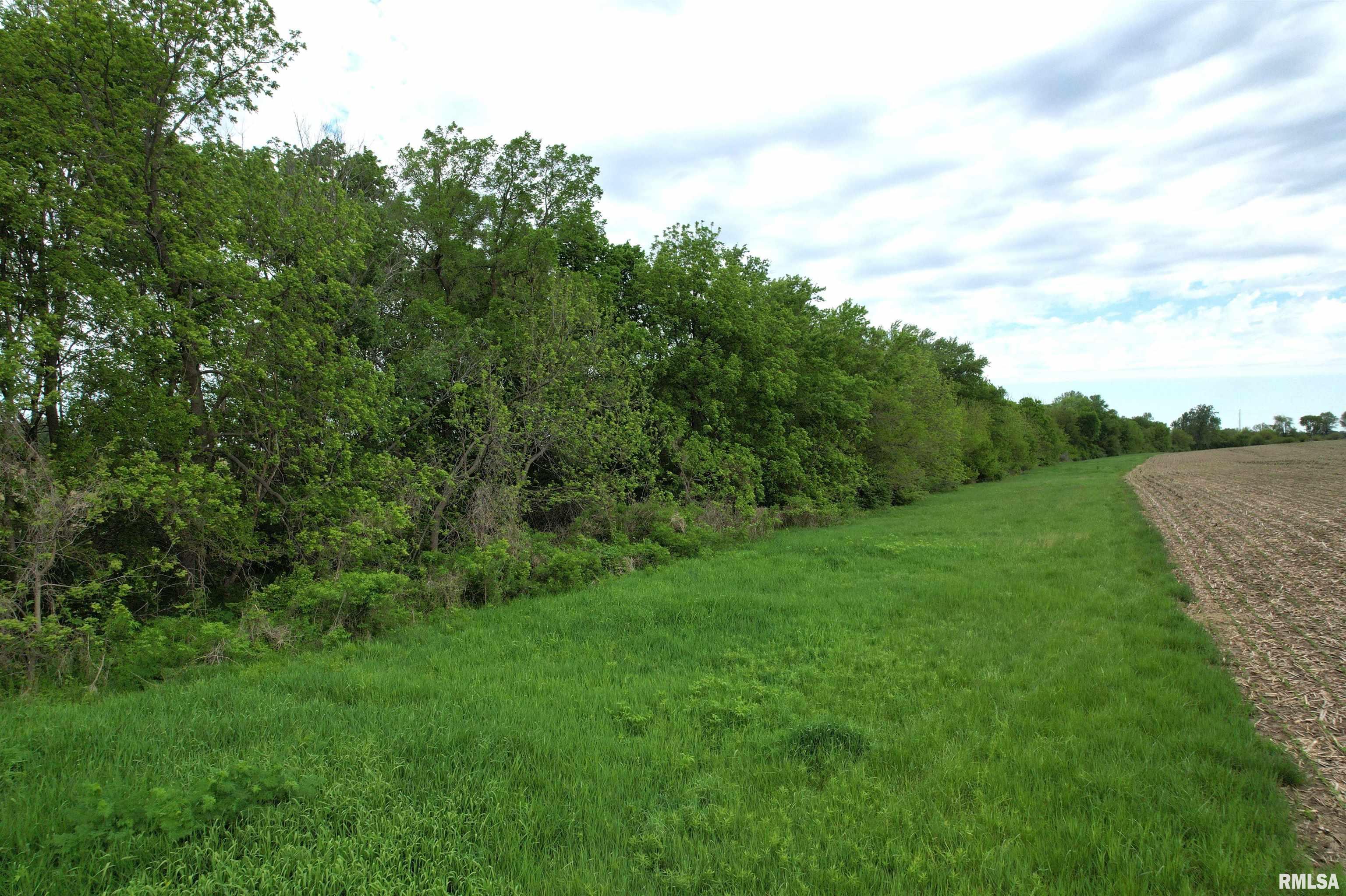 Willow Branch Road Jacksonville, IL 62650 - Photo 23 of 49