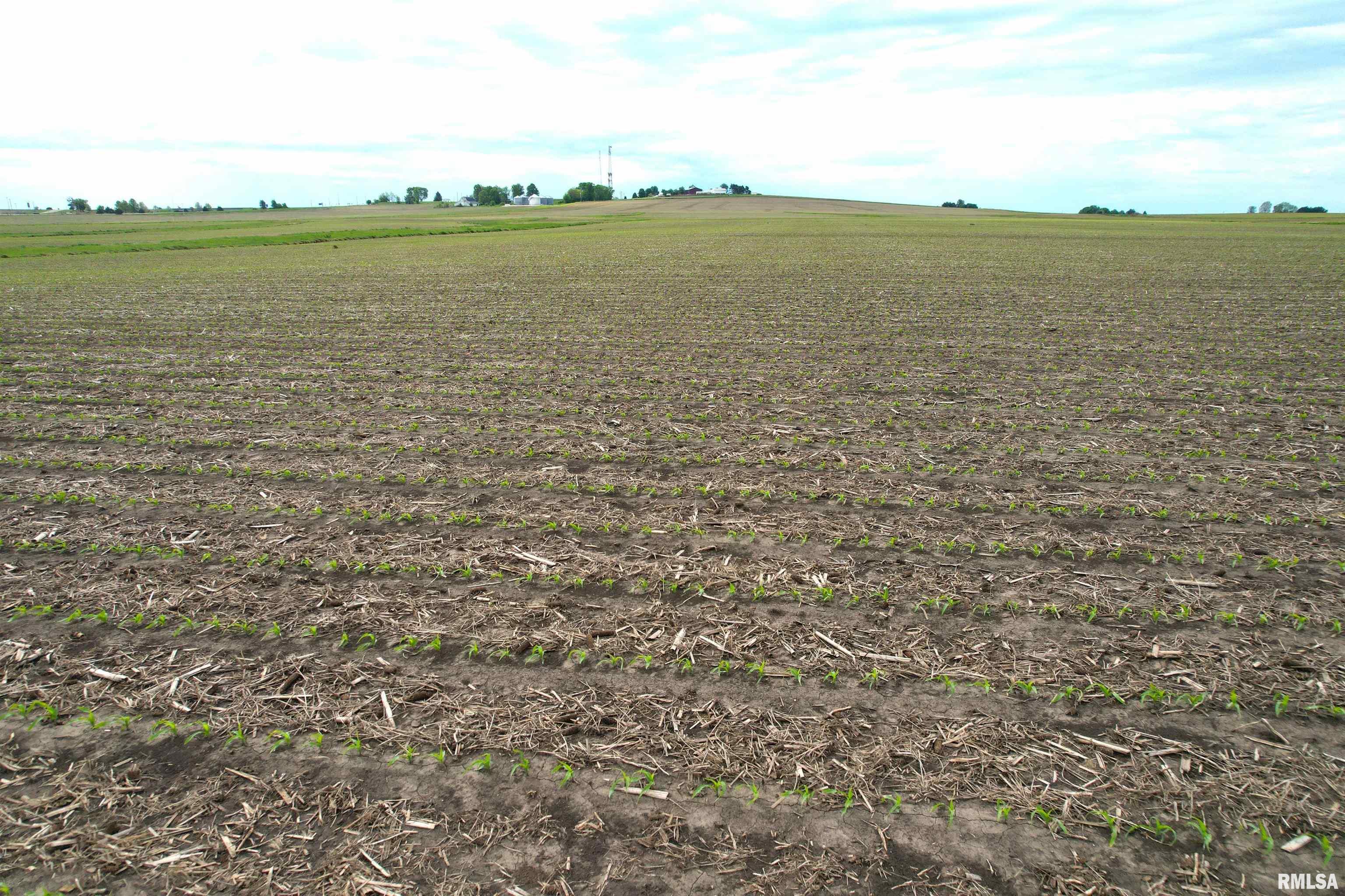Willow Branch Road Jacksonville, IL 62650 - Photo 36 of 49