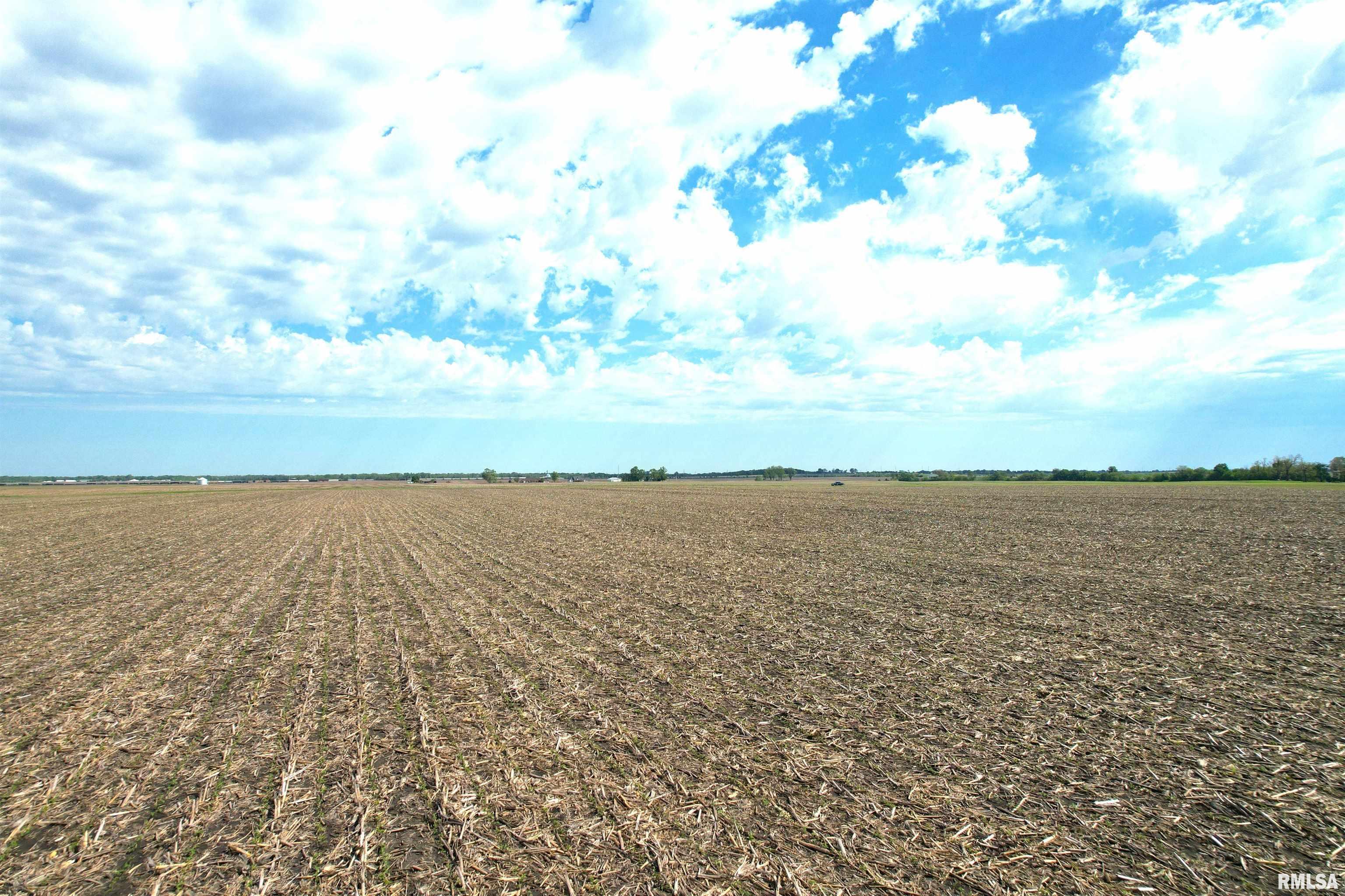 Willow Branch Road Jacksonville, IL 62650 - Photo 9 of 49