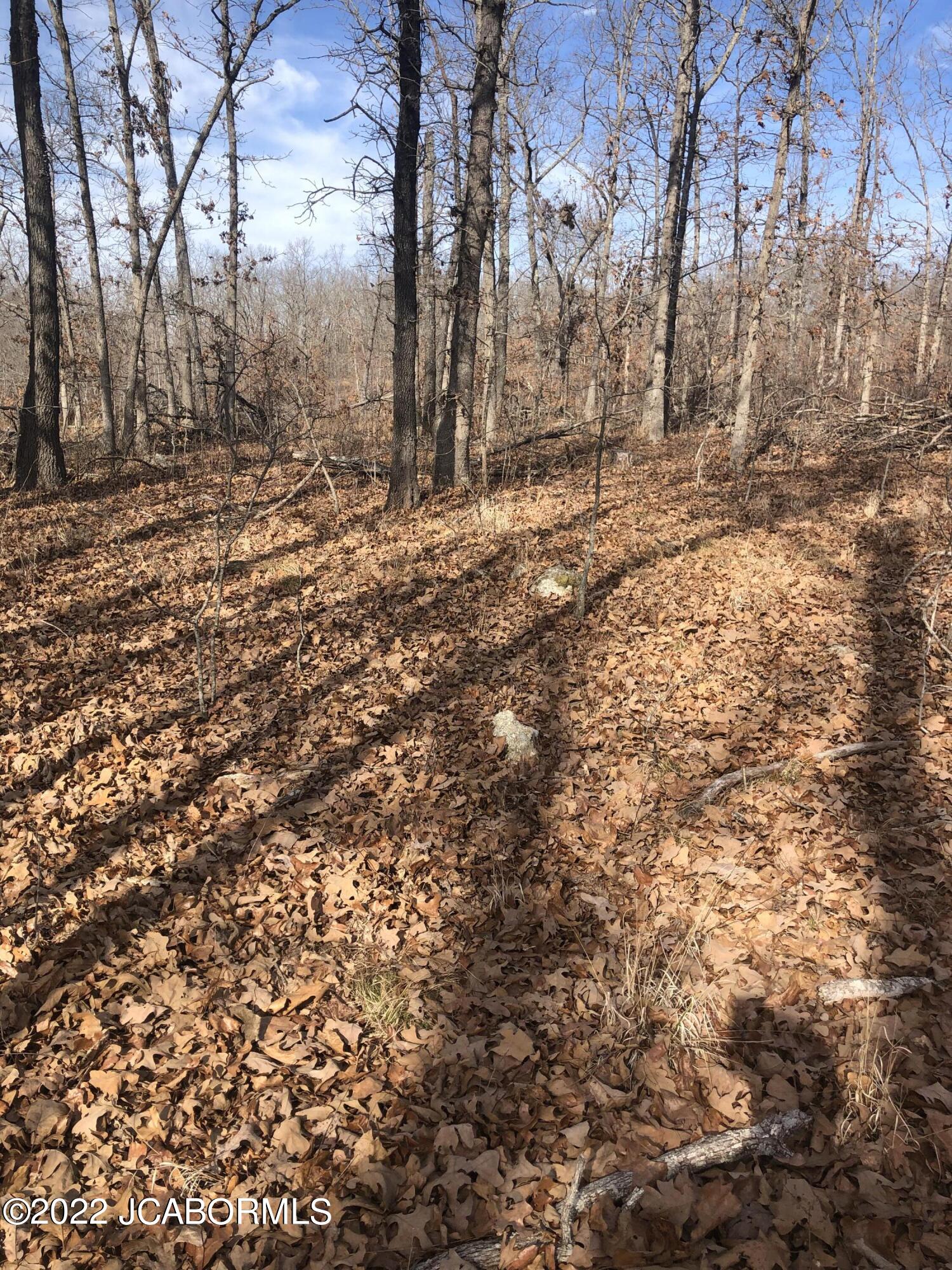 Tbd Broads Branch Road Macks Creek, MO 65786 - Photo 17 of 18