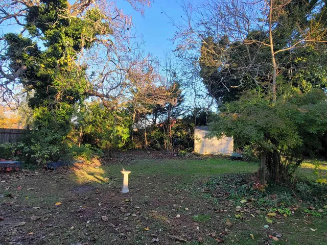 a backyard of a house with lots of green space