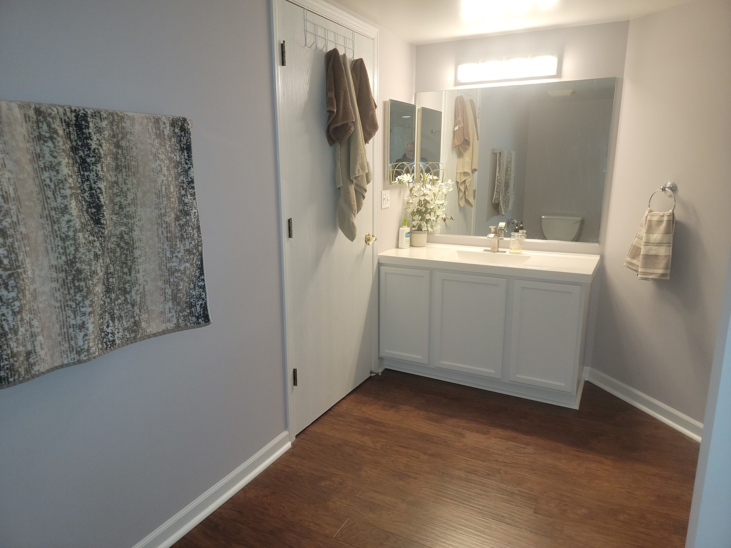 237 North Mill Road, Unit 3 Addison, IL 60101 - Photo 13 of 23 a bathroom with a sink and mirror