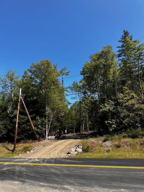 1-167-01 Page Hill Road Ripley, ME 04930 - Photo 1 of 9 image0Driveway1