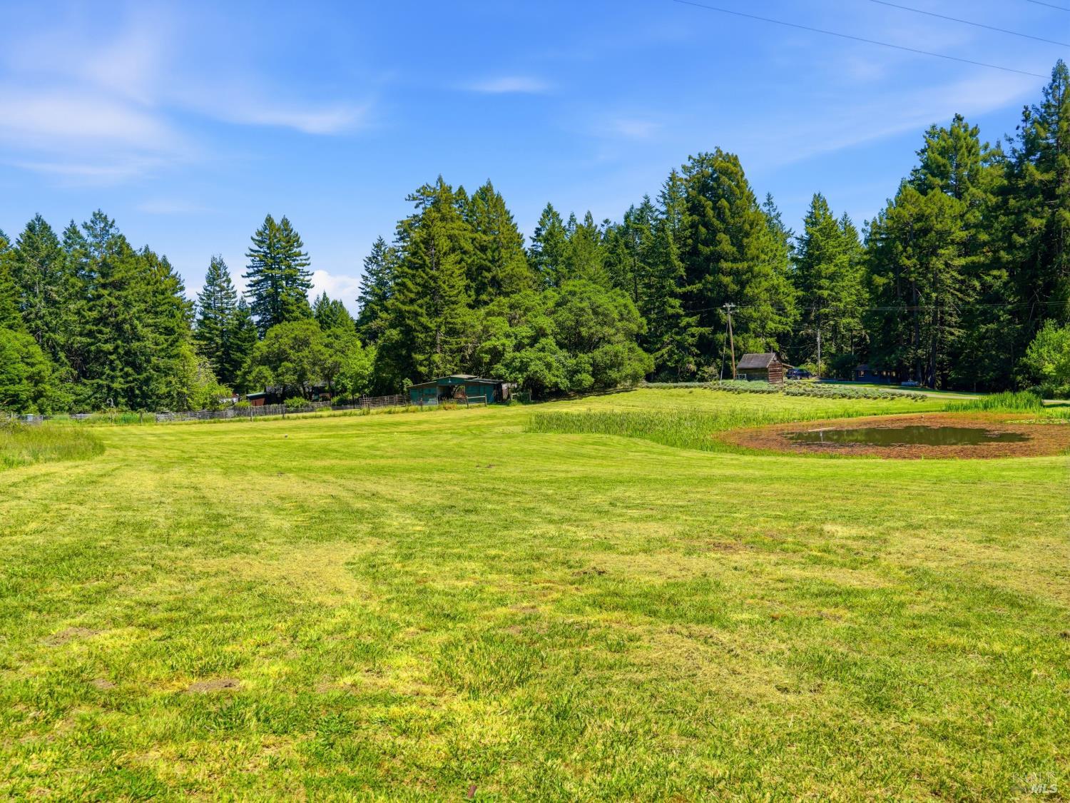 31397 Seaview Road Cazadero, CA 95421 - Photo 43 of 47 a view of a large yard with lots of green space and palm trees
