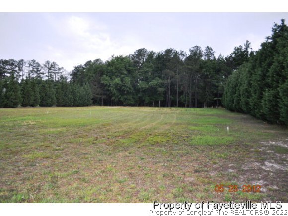1334 Minter School Road Sanford, NC 27332 - Photo 3 of 14 Gallery Image 3
