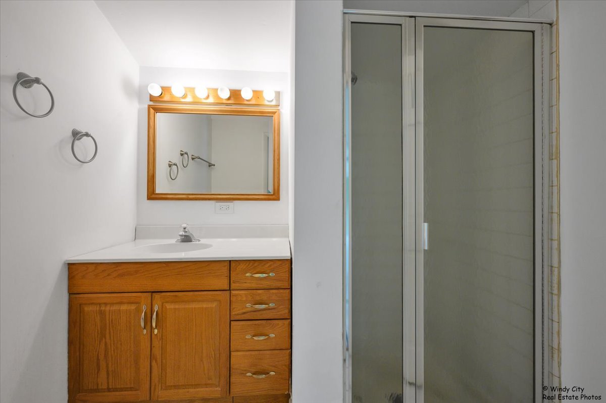 420 North Wille Street Mount Prospect, IL 60056 - Photo 16 of 28 a bathroom with a sink vanity and mirror