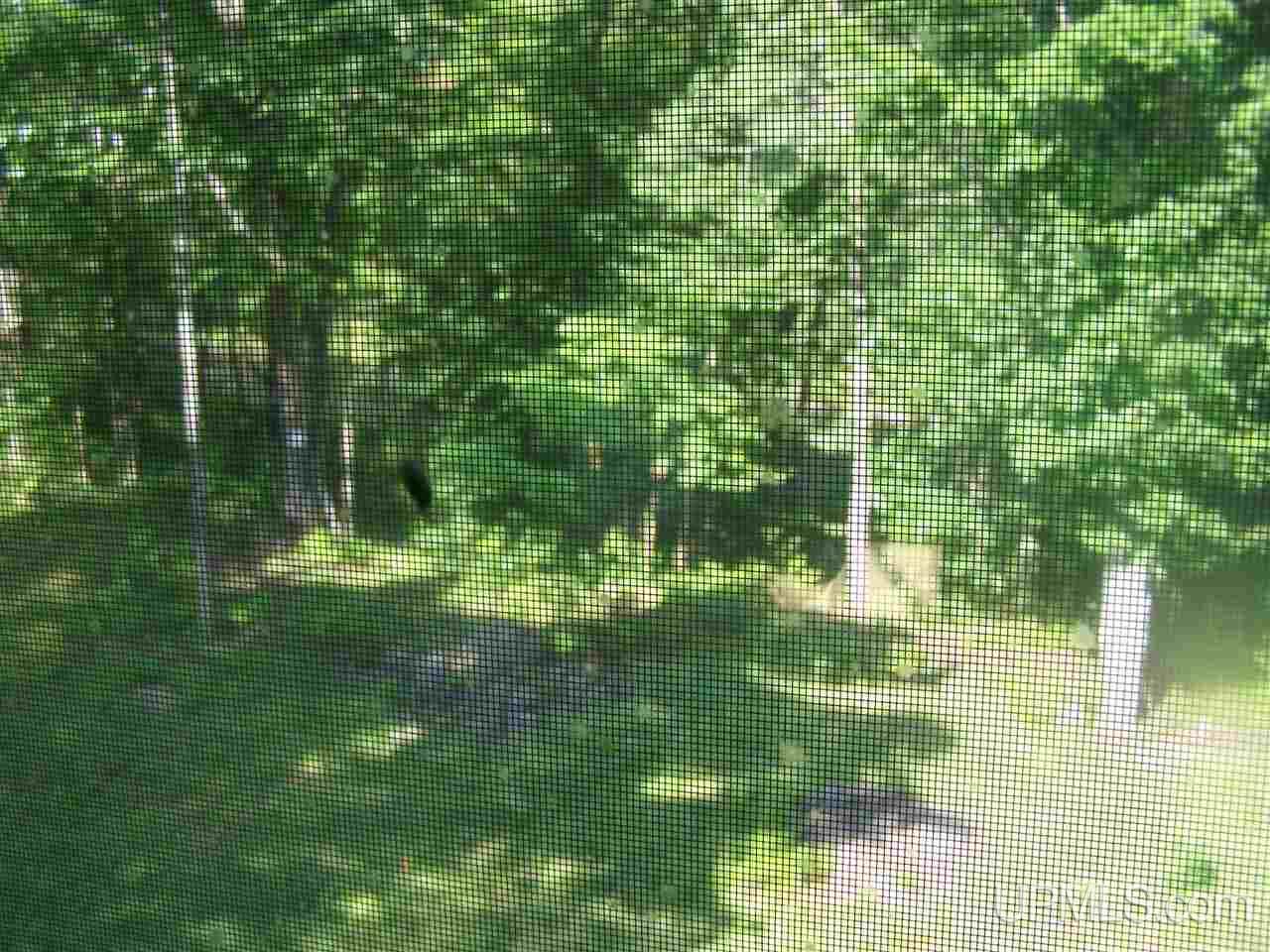 C-wi Park Road Hurley, WI 54534 - Photo 19 of 27
