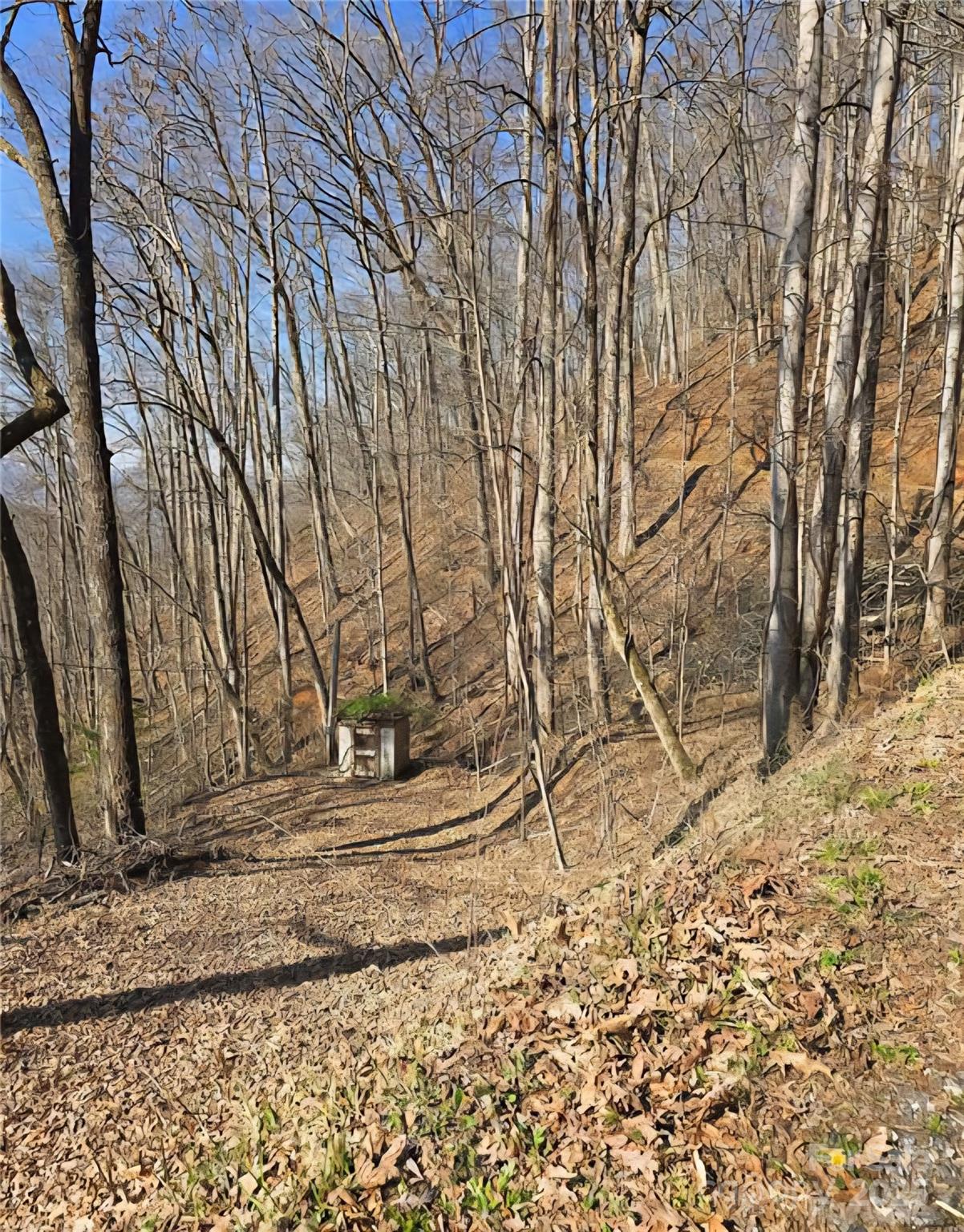 a view of a yard with wooden fence