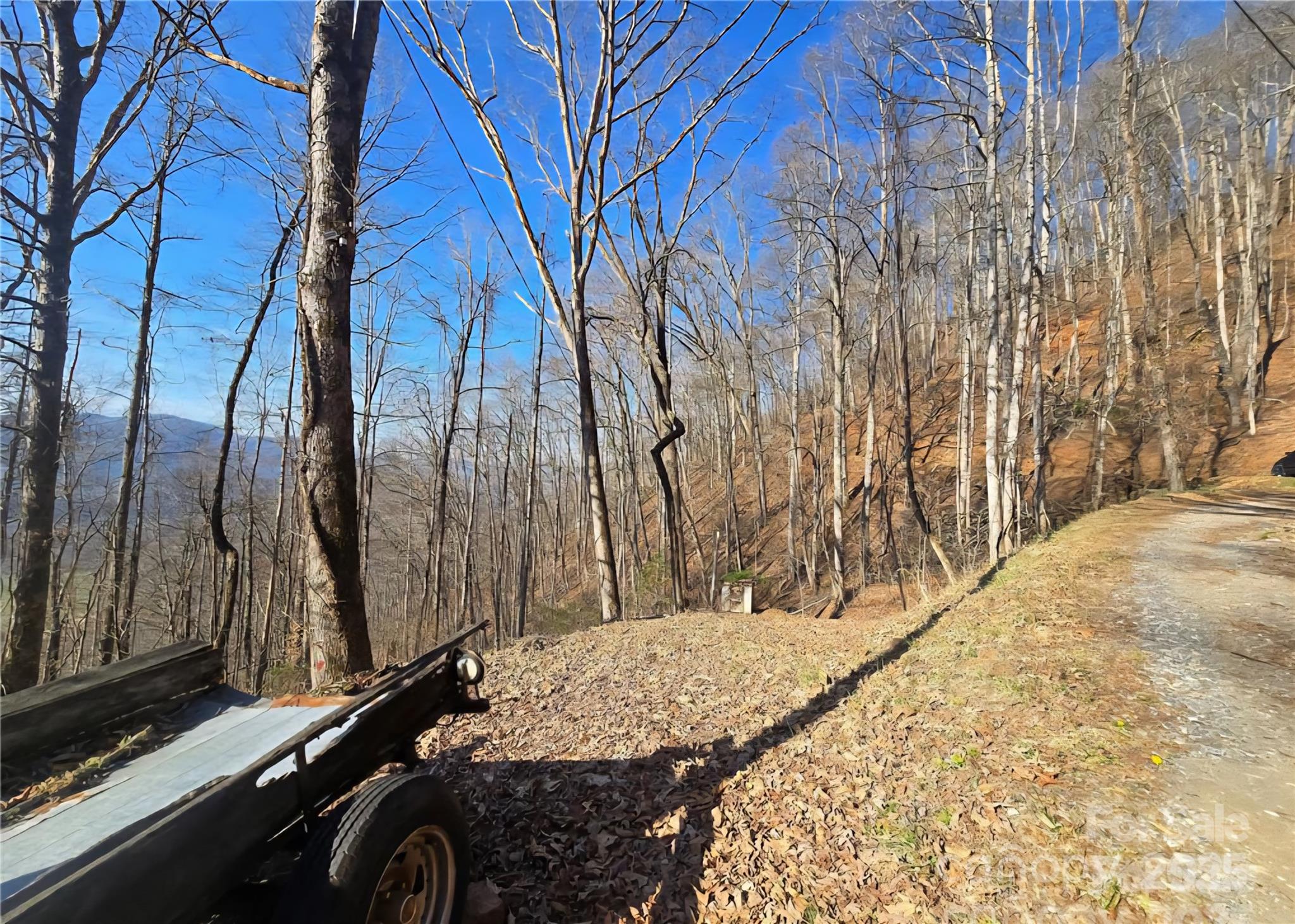32 Black Mountain Road Cullowhee, NC 28723 - Photo 2 of 6 a view of swimming pool with a yard