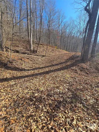 a view of a backyard of the house