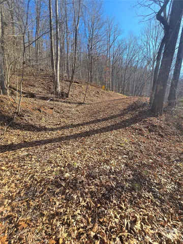 a view of a backyard of the house