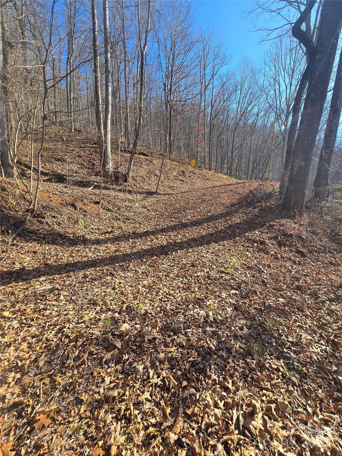 32 Black Mountain Road Cullowhee, NC 28723 - Photo 3 of 6 a view of a backyard of the house