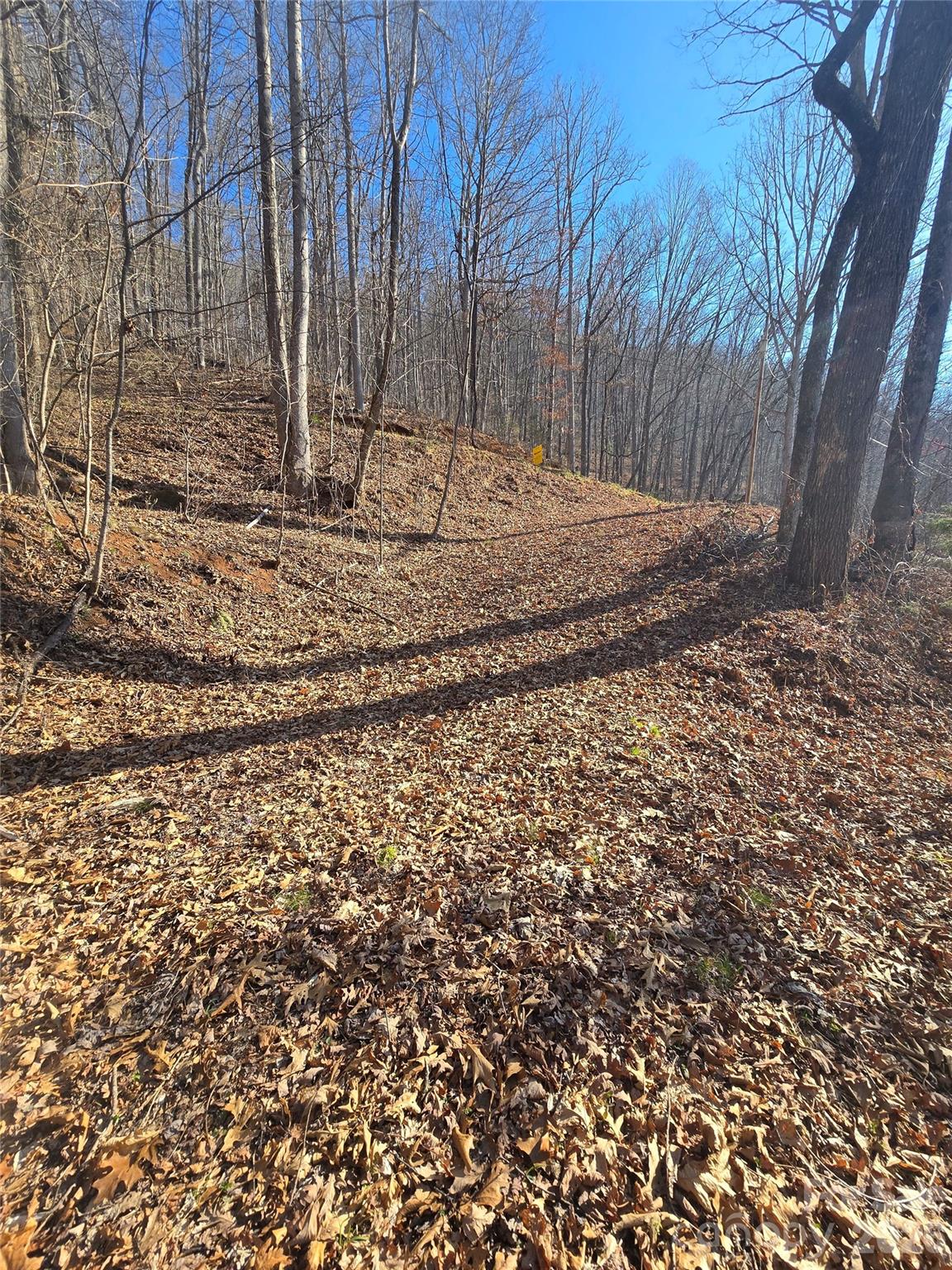 32 Black Mountain Road Cullowhee, NC 28723 - Photo 3 of 11