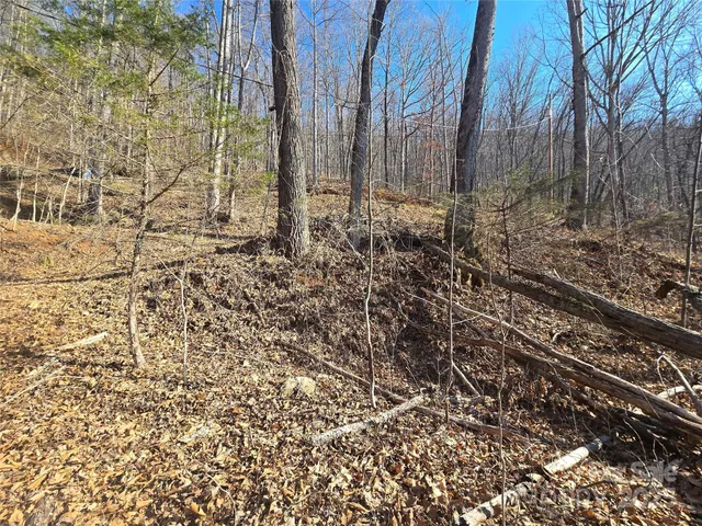 a view of a backyard of the house